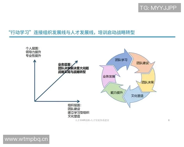 以规则为核心构建高效团队管理体系的策略与实践探讨